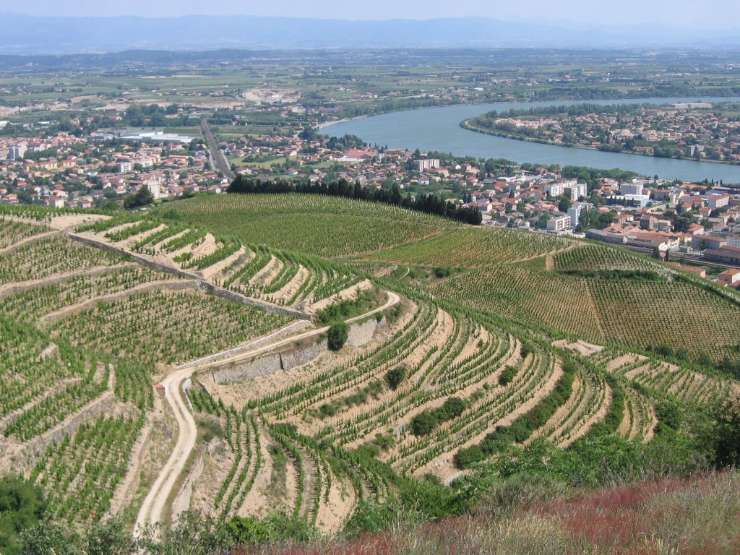 Tain-l'Hermitage è una cittadina nota per la produzione di Syrah