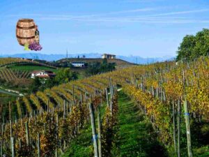 Langhe piemontesi