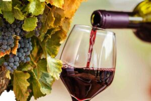 Vino nel bicchiere e vigneto