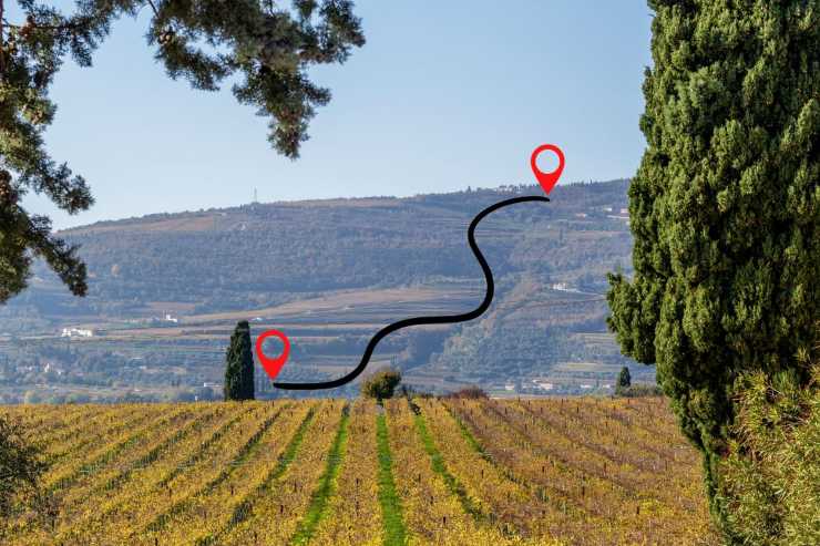 Valpolicella