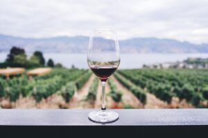 Boccale di vino rosso sopra al tavolo con sfondo vigneti